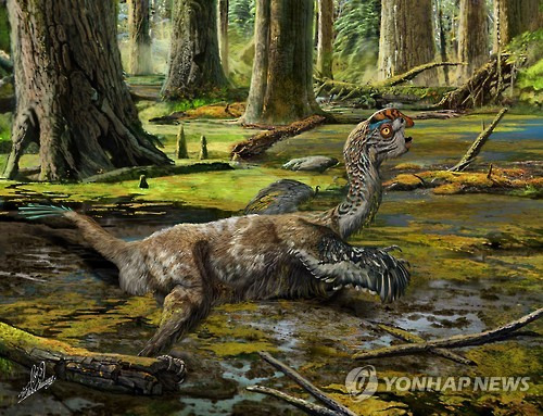 [AFP=연합뉴스 자료사진]