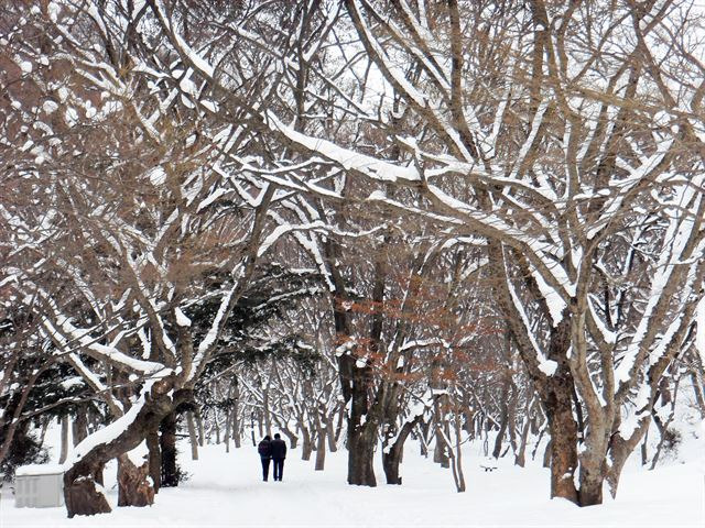 눈 덮인 내장산국립공원의 분위기는 시간이 멈춘 듯 고요하다. 조두현 기자