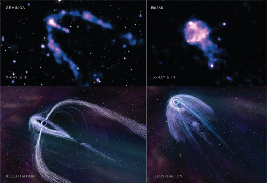 독특한 꼬리를 지닌 중성자별(위)와 개념도(아래) - NASA/JPL-Caltech 등