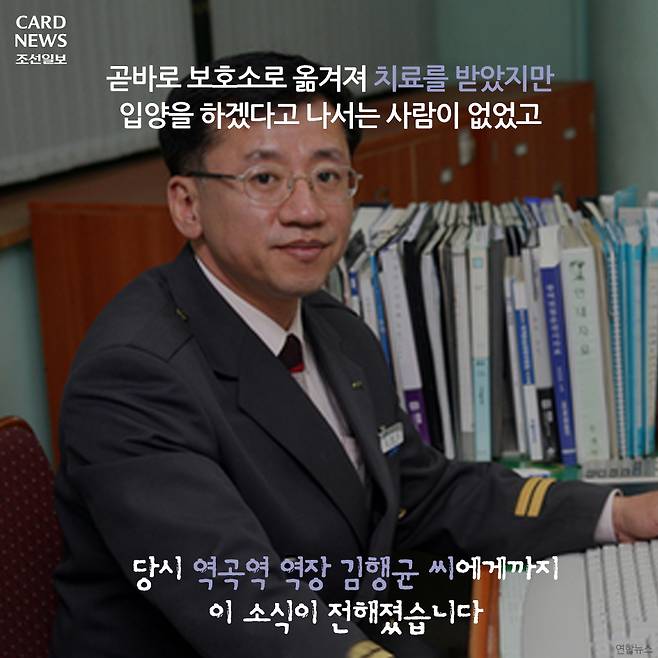  행방불명된 다행이를 찾습니다 | 인스티즈