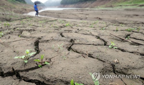 (춘천=연합뉴스) 이상학 기자 = 7일 극심한 가뭄으로 땅이 갈라진 강원 춘천시 북산면 추곡리 소양호 상류에 단비가 내리고 있다.