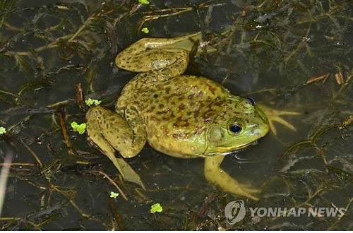 [연합뉴스 자료사진]