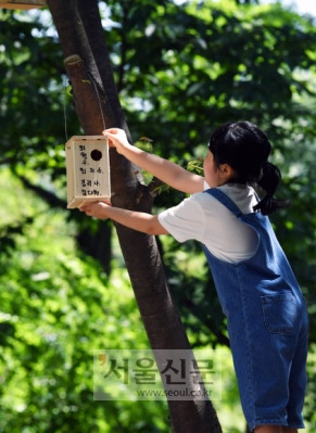 꼼꼼하게 만든 둥지를 숲속 나무 등걸에 정성스럽게 걸고 있다.