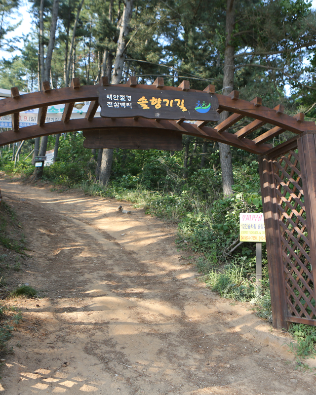 태안 솔향기길(사진제공=한국관광공사)