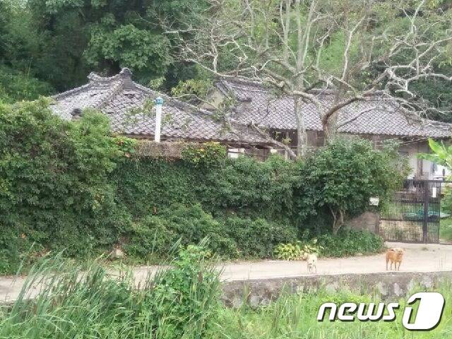 부산 기장군 일광지구 도시개발사업 대상지 내 후동마을에 자리잡은 청도 김씨 기와집 2017.7.29/뉴스1 © News1