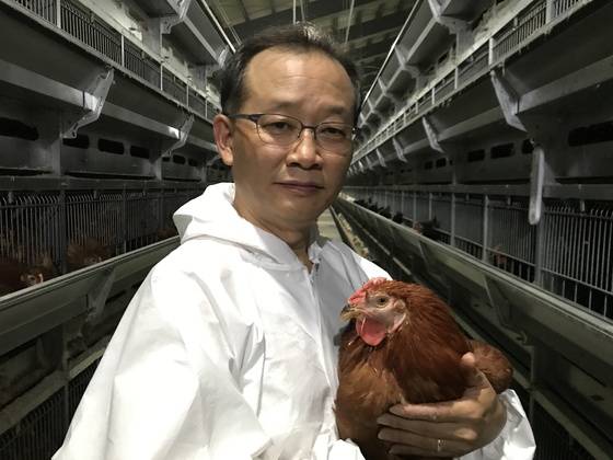 강원도 평창군 대관령면의 연구소 계사에서 산란계 암탉을 살피고 있는 문홍길 소장. [사진 가금연구소]