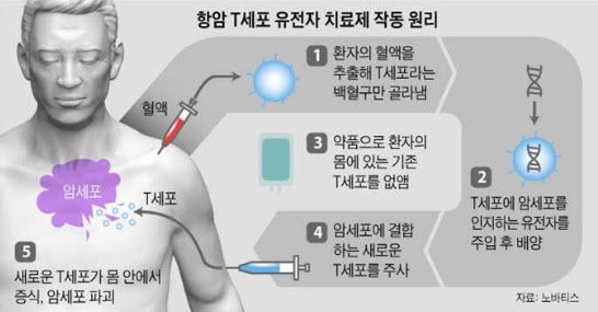 /그래픽팀