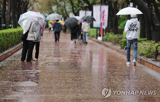 수도권 지역에 비가 내린 5일 오후 서울 석촌호수에 벚꽃이 떨어져 있다.[연합뉴스 자료사진]