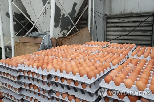 폐기 기다리는 '살충제 계란'  (남양주=연합뉴스) 임병식 기자 = 16일 경기도 남양주시의 한 농장에서 폐기될 계란이 모여 있다.   이 농장의 계란에서 살충제 성분인 '피프로닐'(Fipronil)이 검출돼 당국이 계란을 전량 폐기하고 있다. 2017.8.16  andphotodo@yna.co.kr  (끝)