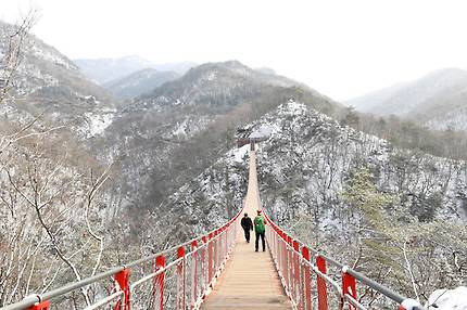 경기도 파주시 적성면 감악산에 있는 길이 150m, 높이 45m, 폭 1.5m 규모의 운계출렁. [사진 파주시]