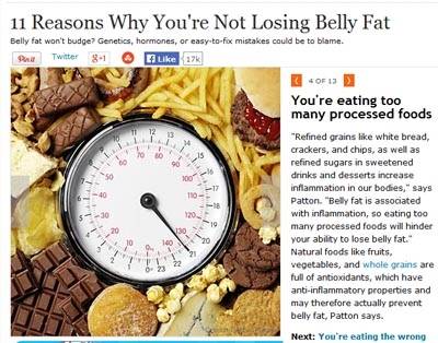 뱃살이 빠지지 않은 이유 11 [사진 헬스닷컴 홈피 캡처]