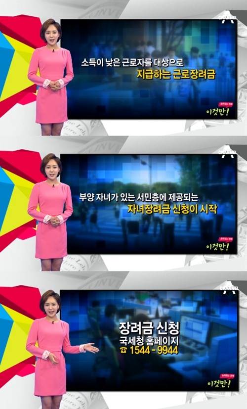 사진 : 뉴스화면 캡처