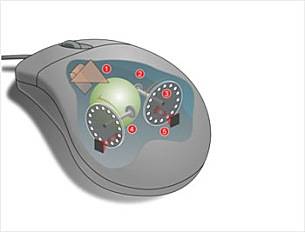 볼마우스의 원리