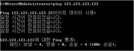 핑 명령어