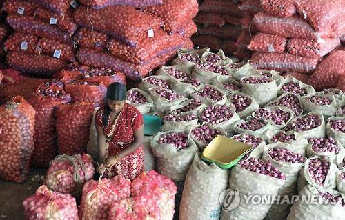 26일 인도 하이데라바드의 시장에서 여성 노동자가 양파를 망에 담고 있다.(AFP=연합뉴스)