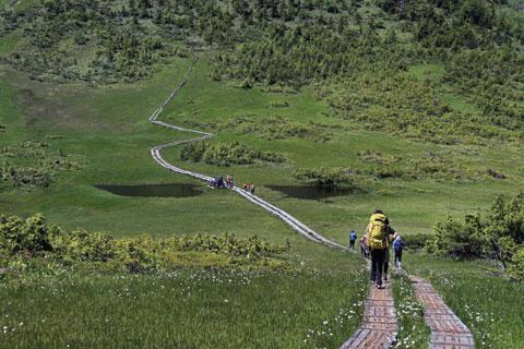 [월간산]미이케에서 정상으로 이어진 길에 만나는 고산 습지. 걷는 것만으로 힐링이 되는 감미로운 꽃길이다.