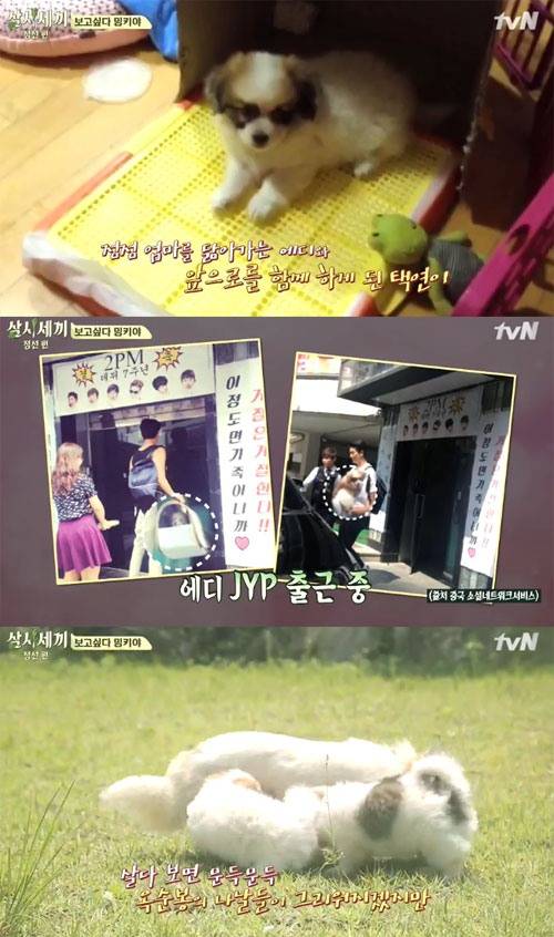 사진: tvN '삼시세끼 정선편'