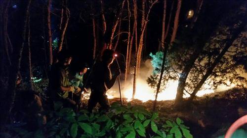 28일 오후 5시 50분께 대전시 동구 낭월동 산내초등학교 뒤편 식장산 자락에서 원인을 알 수 없는 불이나 소방관 등 600여 명이 출동해 진화작업을 벌이고 있다. 2015.9.28 (대전=연합뉴스)