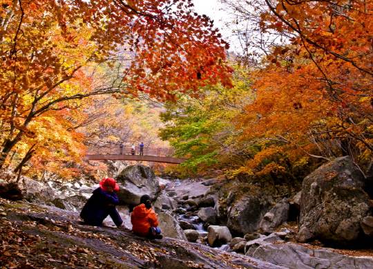 무주 구천동 계곡(3)