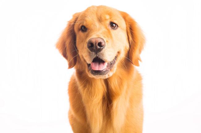 [사진출처=123RF]