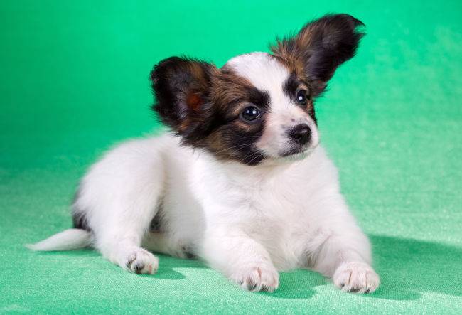 [사진출처=123RF]