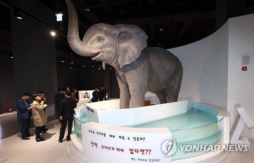 (부산=연합뉴스) 조정호 기자 = 부산 기장군 동부산관광단지에 자리잡은 국립부산과학관이 3일 언론에 공개됐다. 취재진이 부력의 원리를 알 수 있는 코끼리 조형물을 살펴보고 있다. 12월 개관을 앞두고 시범운영중인 부산과학관은 180개 과학전시물이 설치됐다. 전시물의 80%가 기초과학 원리와 첨단기술을 직접 느끼는 체험형으로 꾸며졌다. 1천217억원이 들어간 부산과학관은 동남권의 주력산업인 자동차, 항공우주, 선박, 에너지·방사선의학을 주제로 한 지역거점형 과학관이다. 2015.11.3 ccho@yna.co.kr