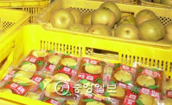 감기에 좋은 배즙 만드는 법. [사진 중앙포토]