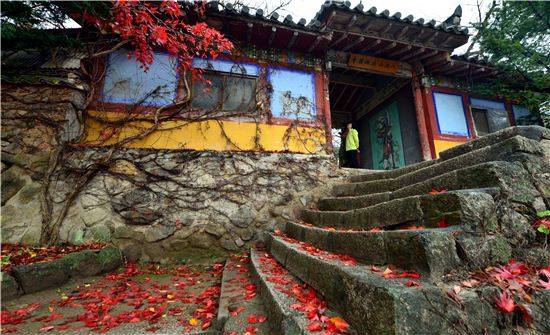 팔공산 북지장사는 참 소박한 절집이다. 솔내음 가득한 숲을 걸어 당도한 절집 돌계단과 담벽락에 가을이 깊어가고 있다. 북지장사 가는길은 대구 명품관광코스에 포함되어 있다.