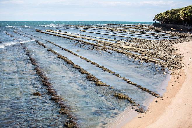 ‘도깨비 빨래판’이라 불리는 아오시마 해변 풍경.