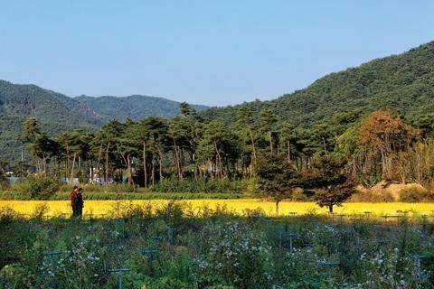 [월간산]월영마을을 지나 황금들녘 사이 정읍사오솔길을 걷고 있다.