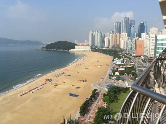 여름 해운대 풍경 /사진=이지혜 기자