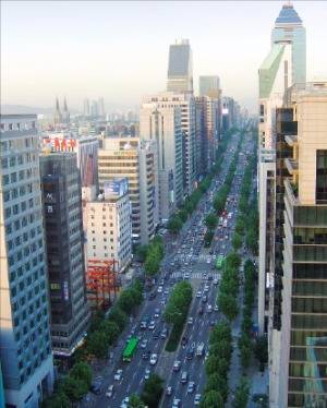 서울의 대표적인 오피스타운인 테헤란로. 이곳에는 주식회사 합명회사 등 다양한 회사들이 들어서 있다.