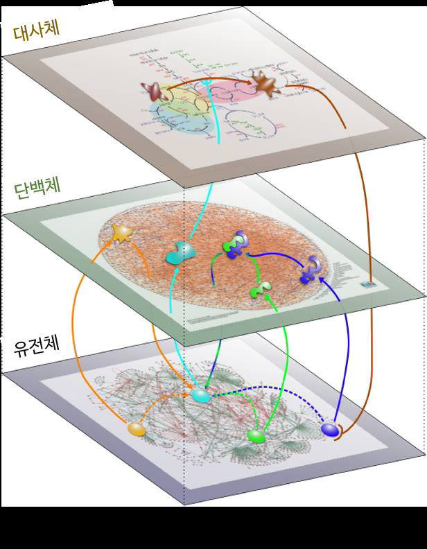 치매데이터 네트워크 분석도.