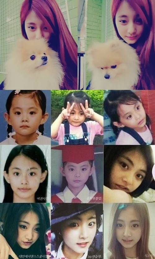 트와이스 공식SNS/ 온라인 커뮤니티