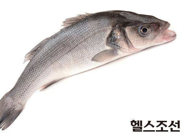 [헬스조선]생선