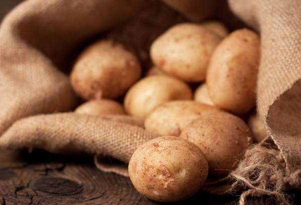 [사진출처=123RF]