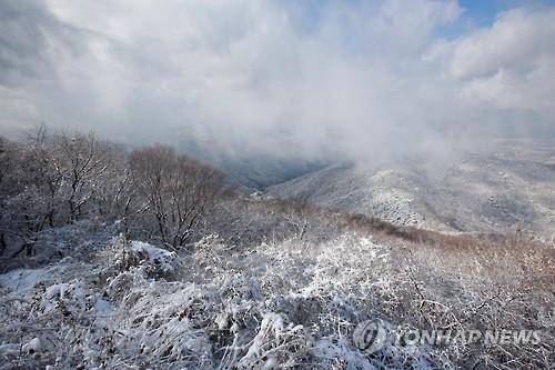 <<연합뉴스 자료사진>>