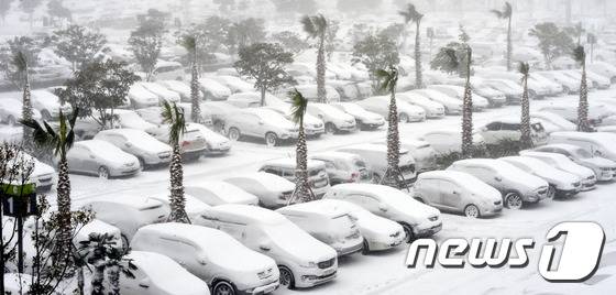 최강 한파로 제주공항에서 항공기 운항이 잠정 중단된 24일 제주국제공항 주차장에 많은 차량들이 눈을 뒤집어 쓰고 있다. 2016.1.24/뉴스1 © News1 이석형 기자