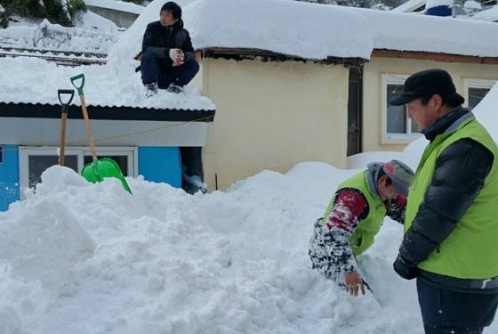 24일 오전 최대 1m의 눈폭탄이 쏟아진 경북 울릉군 저동리에서 울릉청년단원들이 제설작업을 하고 있다. 기상대는 앞으로 15cm의 눈이 더 내릴 것으로 예보했다/사진=뉴스1