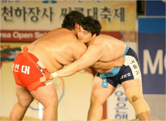 설날을 앞둔 가운데 명절 분위기를 한껏 달궈온 민속 스포츠 씨름계가 대한체육회와 갈등으로 시끄럽다. 27일 체육회 이사회에서 대한씨름협회가 관리단체로 지정되면 현 집행부는 당장 설날장사대회를 주최할 수 없게 된다.(자료사진=대한씨름협회)