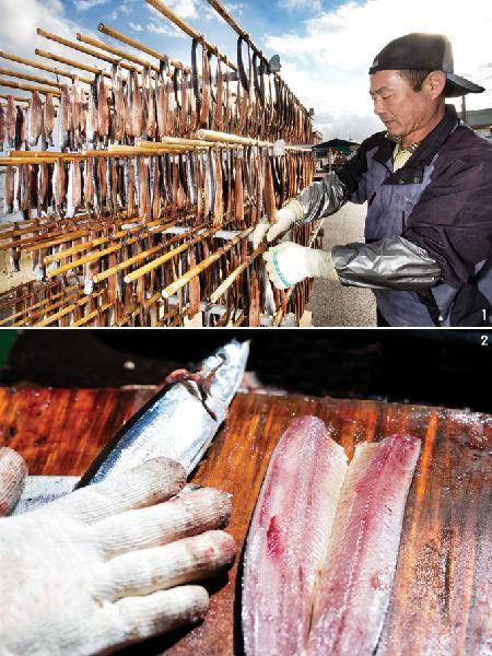 [월간산]1 꽁치 배지기과메기는 햇볕에 하루, 이후로는 그늘에 말리면서 숙성시켜 비린내를 없앤다. 구룡포의 바닷바람은 과메기를 말리는 데 가장 적합하다. 2 꽁치로 배지기 작업을 하는 모습. 요즘은 주로 칼질을 네 번 하는 네발걸이를 한다.