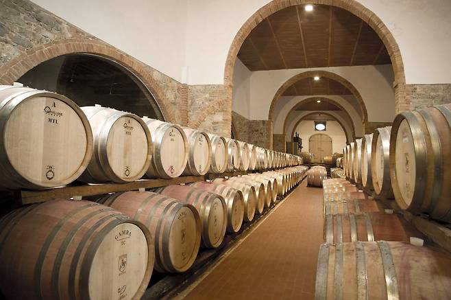 보르고 산펠리체의 와인저장고.
