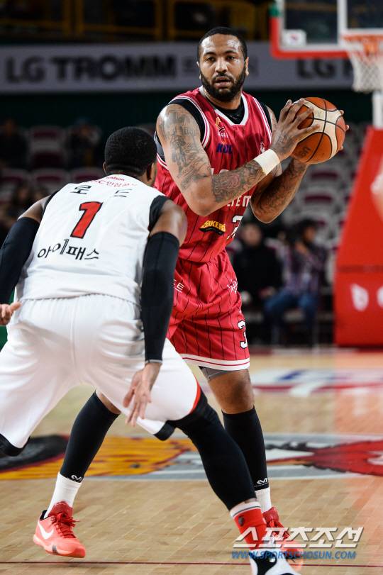 YWY_0041_1454064652_photo