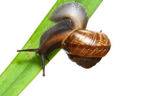 사진출처:리크리홀딩컴퍼니