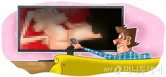 인터넷에서 떠돌던 '야동'이 어느새 안방극장에 침투했다. 최근 1인 가구가 증가하면서 유료 결제를 통해 '포르노'를 방불케하는 야동에 몰입하는 중장년층이 늘고 있는 것으로 나타났다. /그래픽=임종철 디자이너