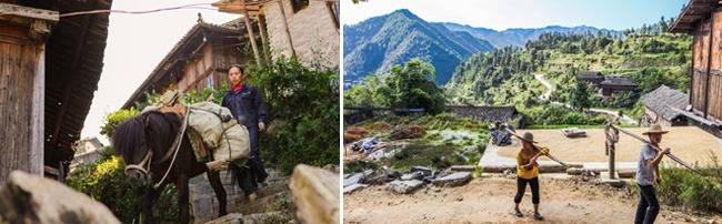 가파른 산동네를 오르내리는 시장의 당나귀, 멜대 하나로 짐을 지고 산을 오르내리는 시장 사람들.