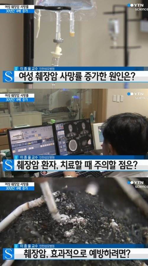 YTN 뉴스
