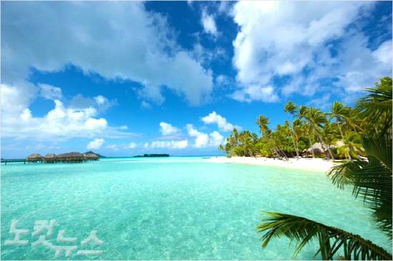 푸른 하늘, 맑은 바다, 울창하게 우거진 야자수가 어우러진 보라보라 섬의 해변. (사진=허니문리조트 제공)