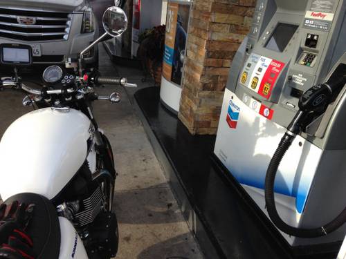 떨고 있는 본네빌과 나