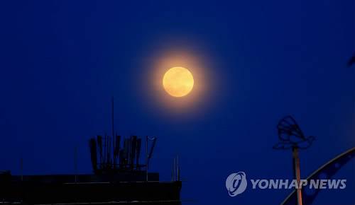 정월대보름/ 사진=연합뉴스